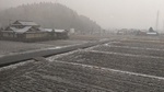 2012-12-31 12.13.26.jpg